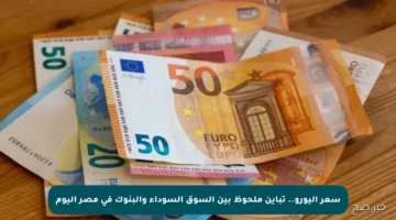 سعر اليورو.. تباين ملحوظ بين السوق السوداء والبنوك في مصر اليوم